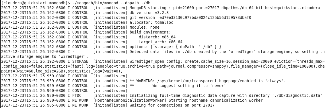 start MongoDB server